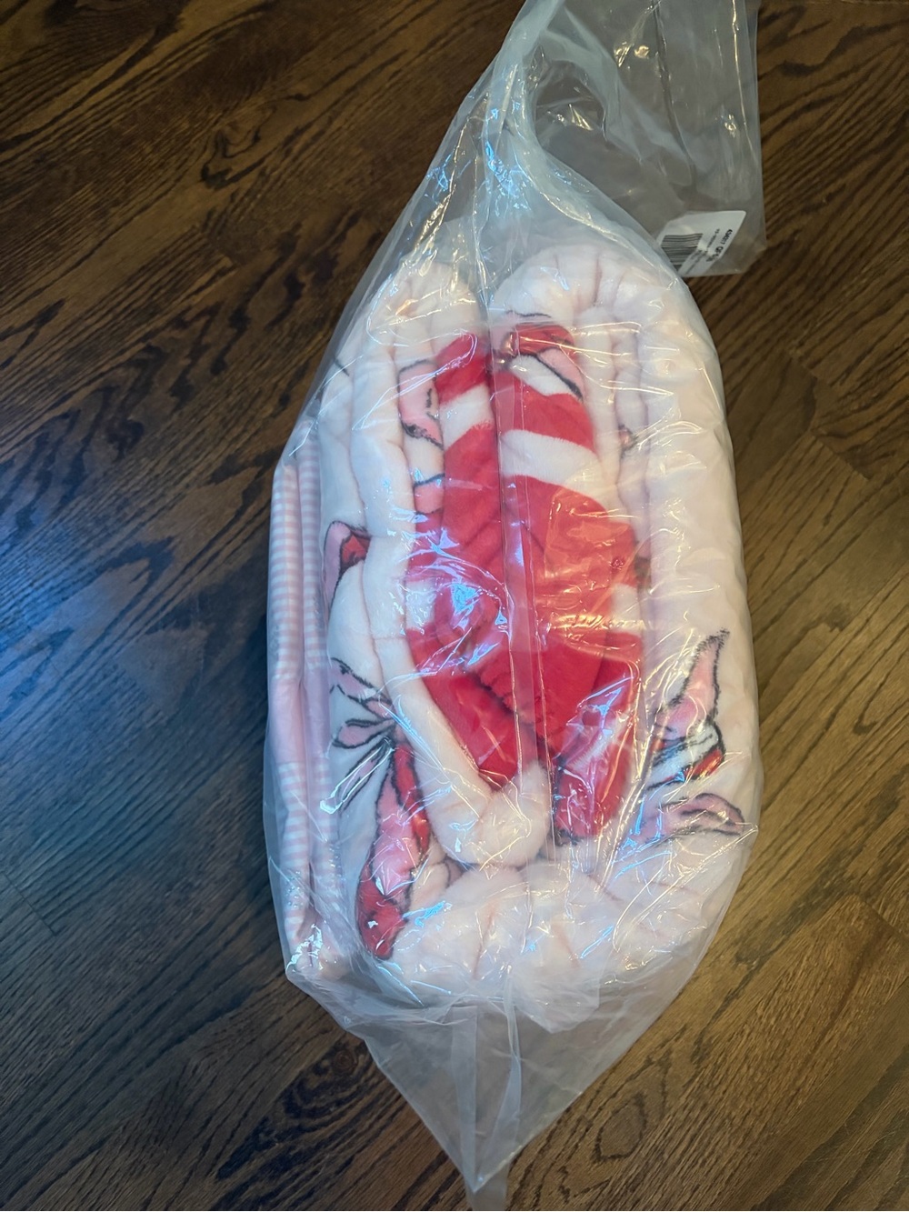 Victoria's Secret Pink Candy Cane Holiday Blanket with Pink Tote - Picture 4 of 7